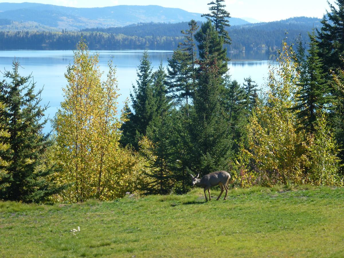 Little Black Bear Lodge/B&B Bridge Lake 外观 照片
