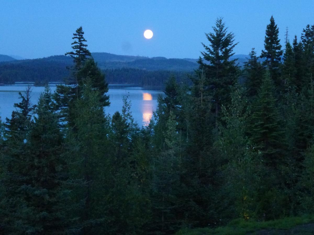 Little Black Bear Lodge/B&B Bridge Lake 外观 照片