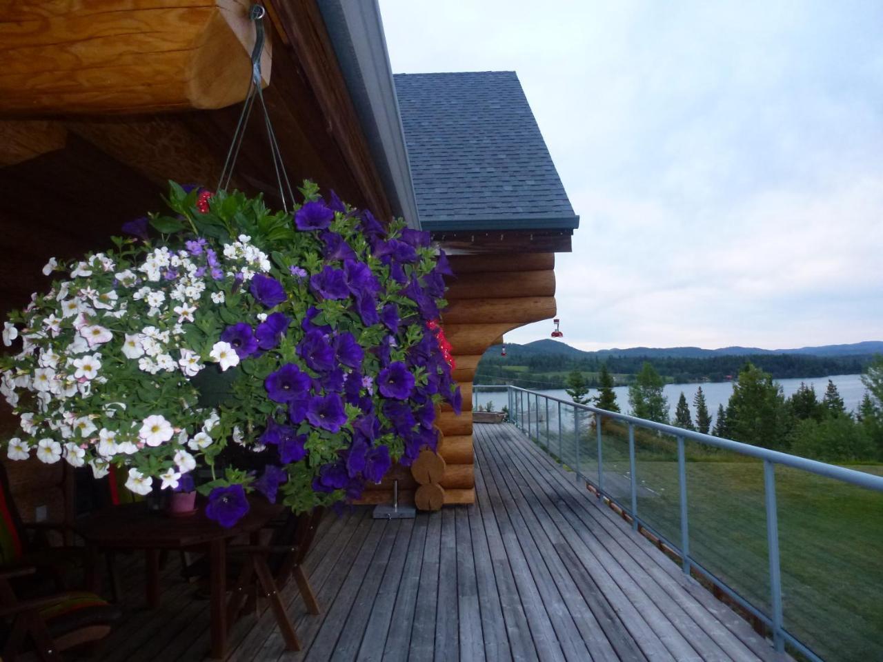Little Black Bear Lodge/B&B Bridge Lake 外观 照片