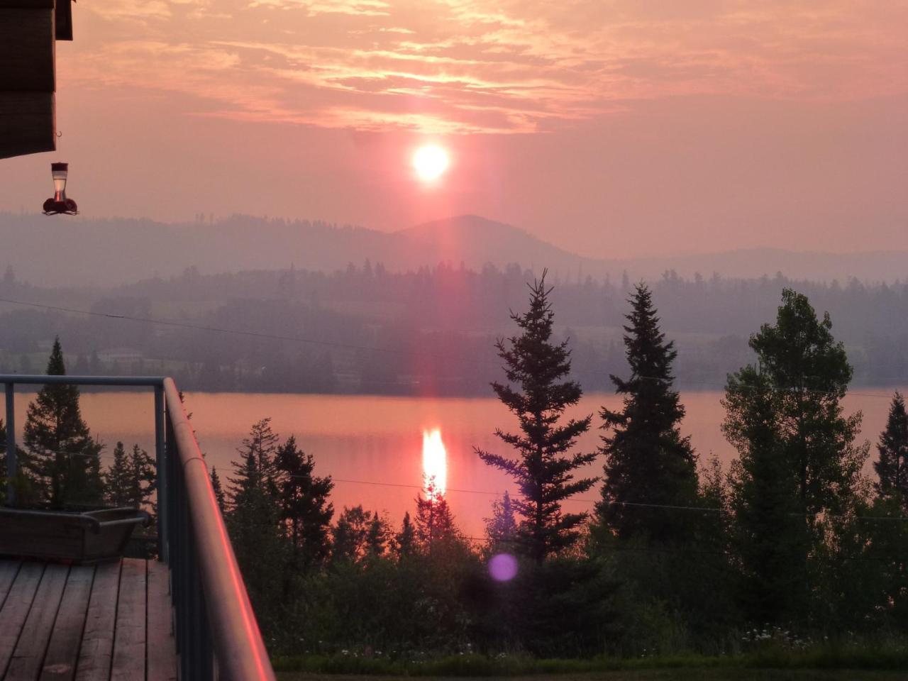 Little Black Bear Lodge/B&B Bridge Lake 外观 照片