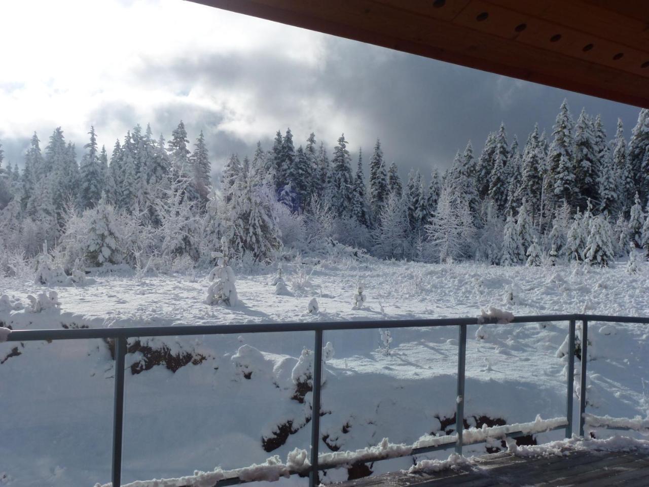 Little Black Bear Lodge/B&B Bridge Lake 外观 照片
