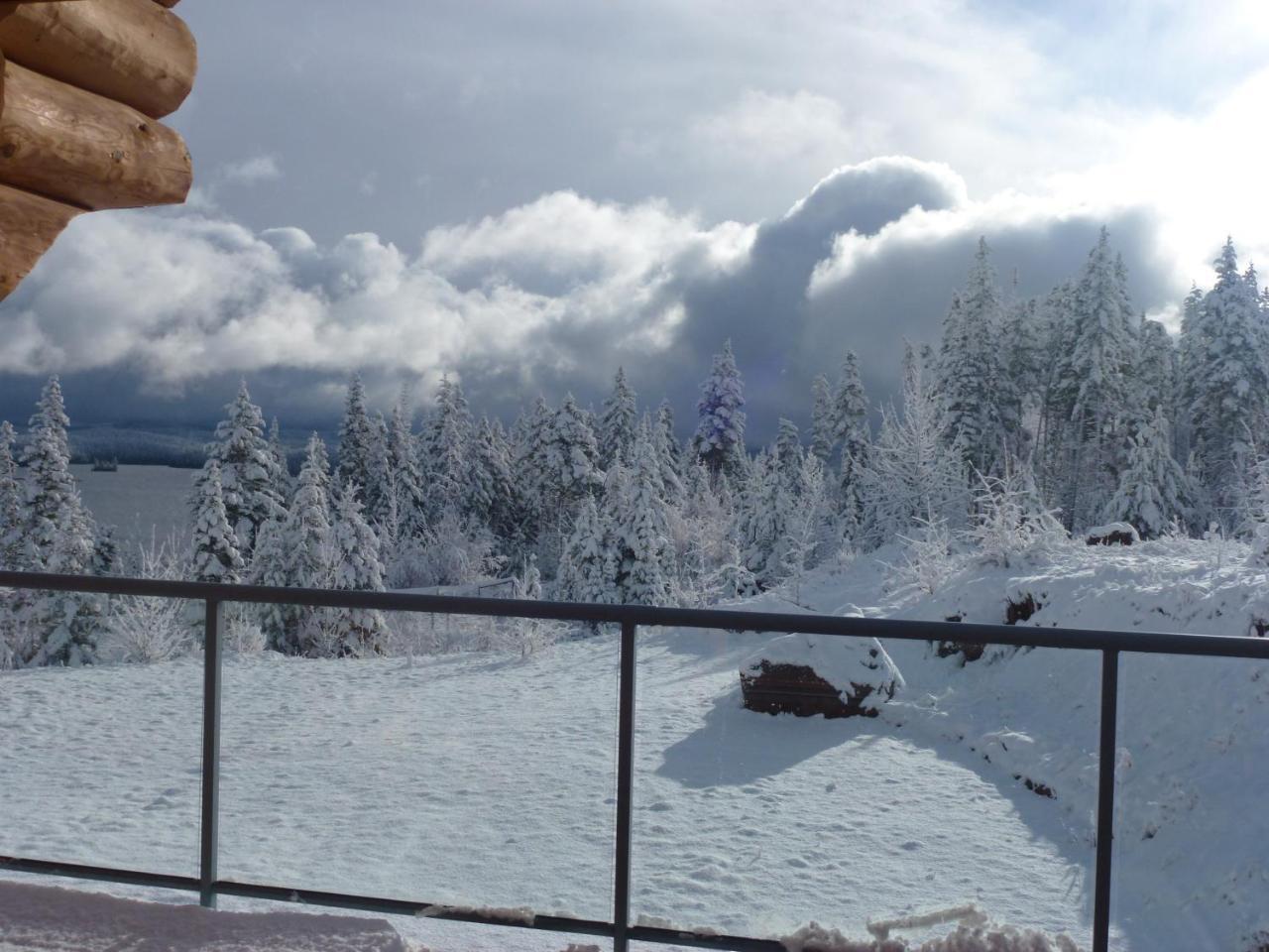 Little Black Bear Lodge/B&B Bridge Lake 外观 照片