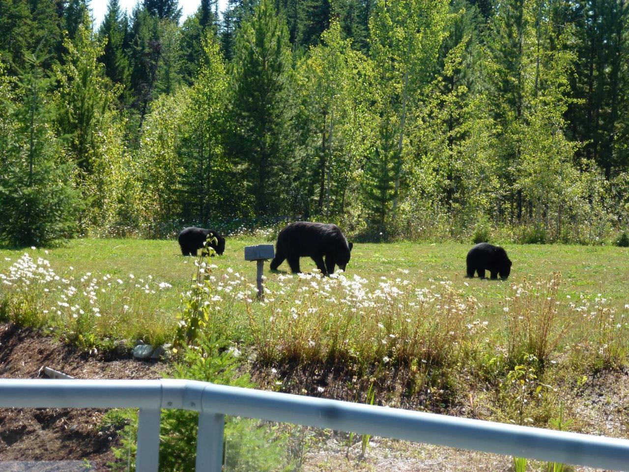 Little Black Bear Lodge/B&B Bridge Lake 外观 照片