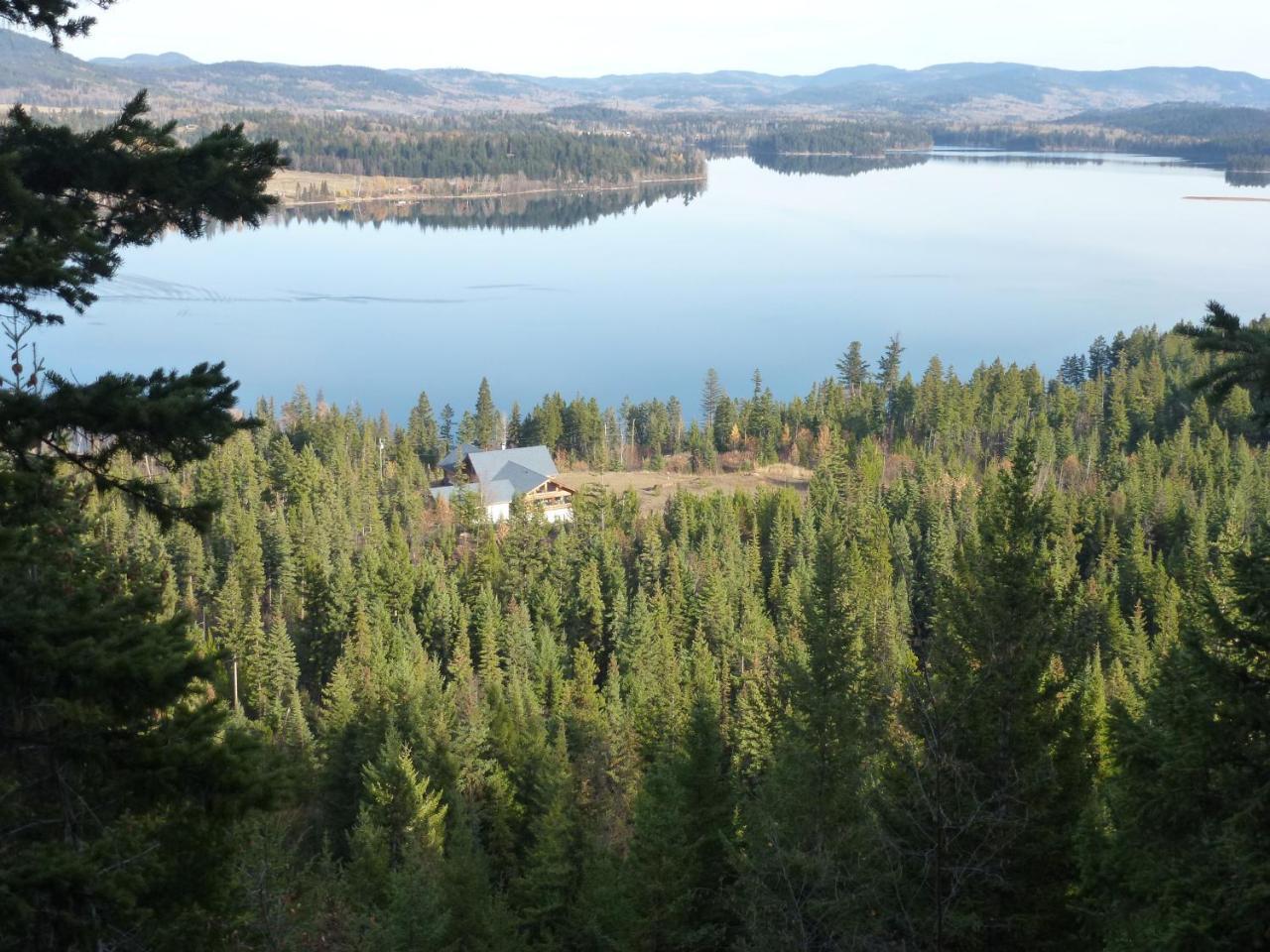 Little Black Bear Lodge/B&B Bridge Lake 外观 照片